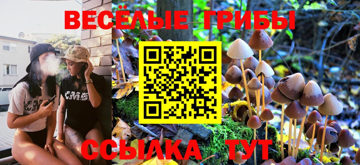 Аксай  Псилоцибиновые грибы Psilocybine cubensis  Вход с VPN  Псилоцибиновые грибы ЛСД 